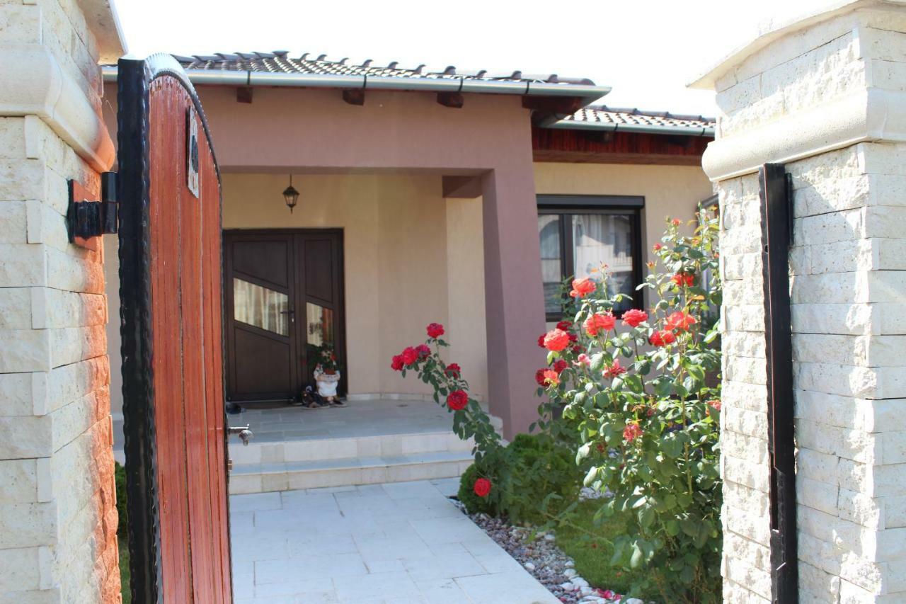 Villa Sia & Sophie 'S House Sîntandrei Exterior foto